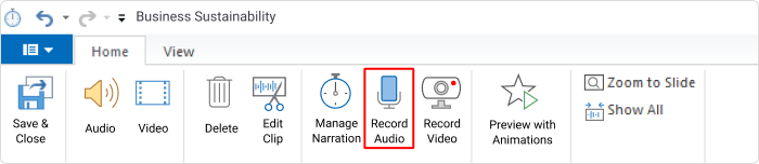 The Record Audio button