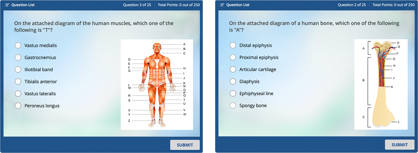 Learning Nurse's course