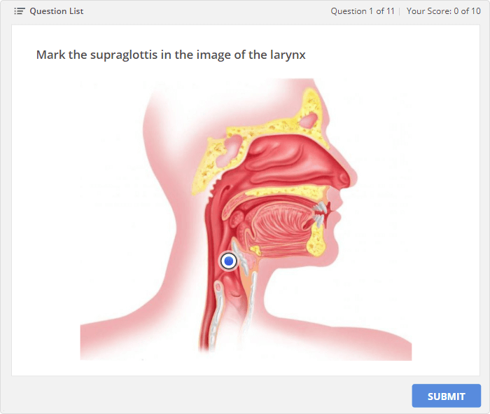 Medical quiz in iSpring QuizMaker