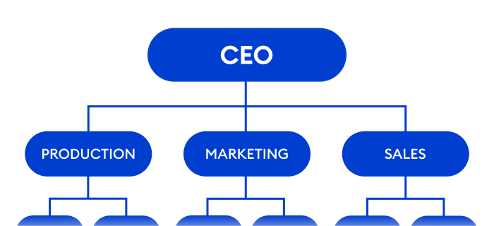 Organizational structure