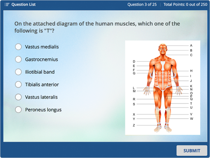 Example of an online quiz