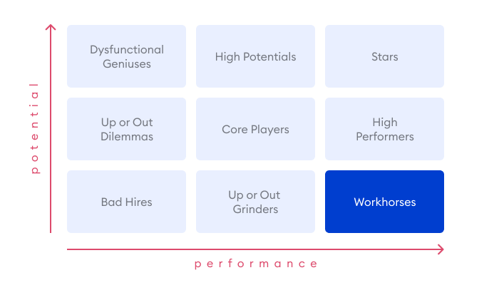 Workhorses in the 9 Box Grid