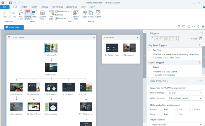 Articulate Storyline interface