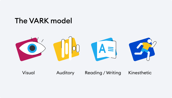 The VARK model